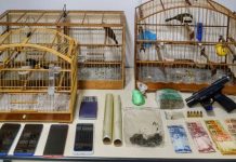 Saiba detalhes das ocorrências ligadas ao tráfico de drogas que mobilizaram a PM em Blumenau nas últimas horas