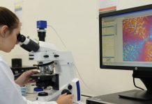 UFSC Blumenau abre inscrições para dois mestrados gratuitos